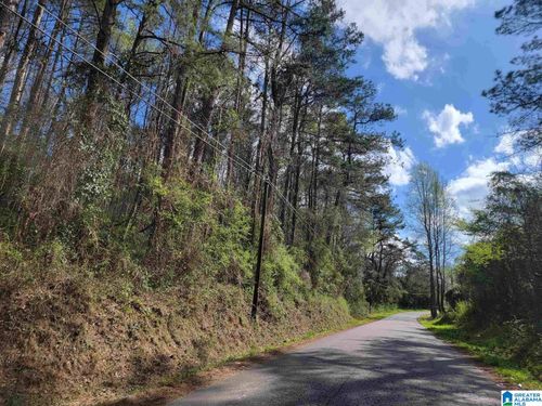 parcel-1-6.27 Acres Lamar Street, Roanoke, AL, 36274 | Card Image