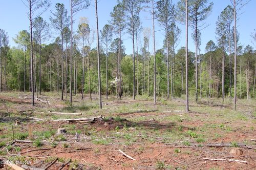 000 Hwy 87 Tract 3, Forsyth, GA, 31029 | Card Image