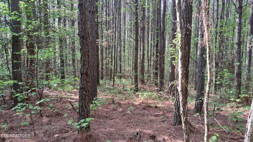 Lot 14 Airport Rd, Rockwood, TN, 37854 | Card Image