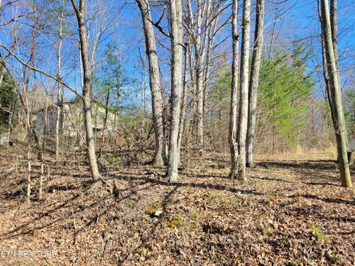 Lot 69 Alpine Dr, Sevierville, TN, 37876 | Card Image