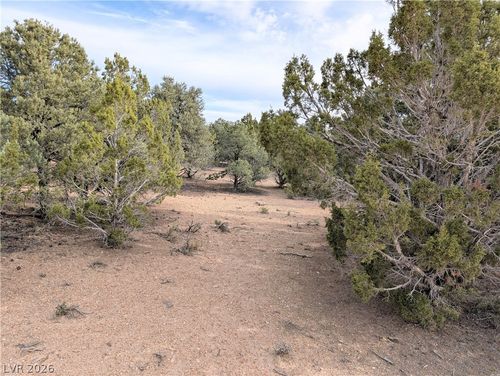 Lot 1-C Side Hill Rd, Pioche, NV, 89043 | Card Image