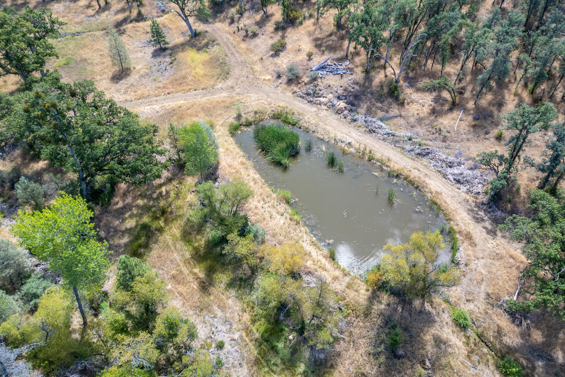 Land in Shingletown