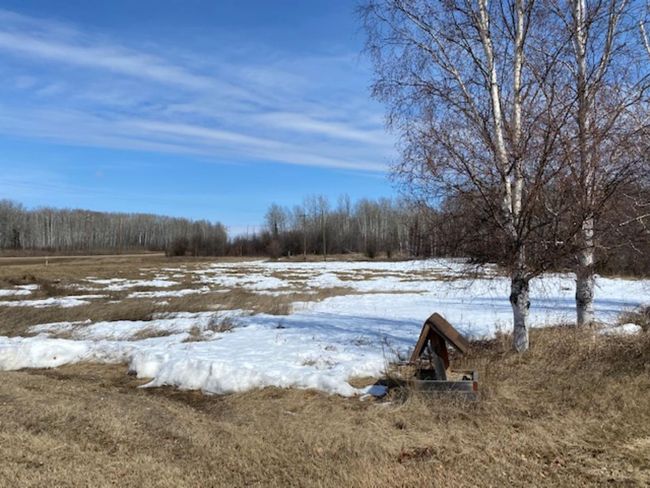 11025 Highway 35, House detached with 3 bedrooms, 1 bathrooms and 8 parking in Keg River AB | Image 42