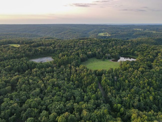 192 Sweet Gum Holw, Home with 0 bedrooms, 0 bathrooms and null parking in Rose Bud AR | Image 22