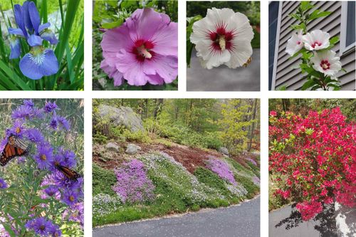 281 New Boston Rd, Bedford, NH, 03110-4350 | Card Image