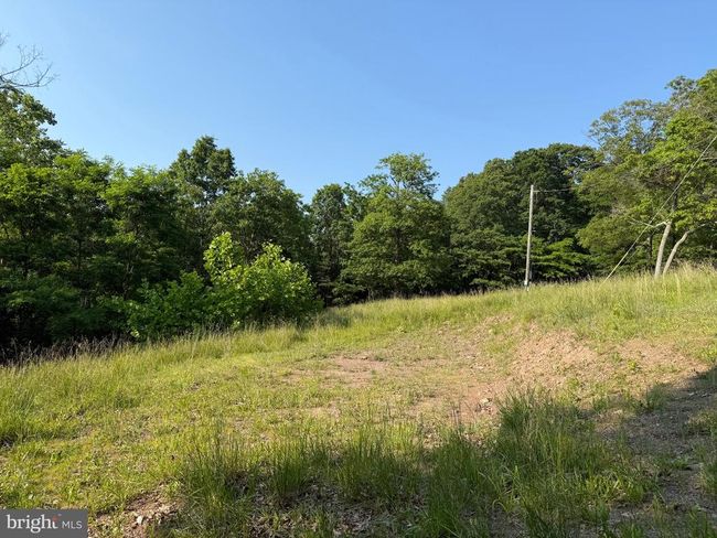 1337 Shanghai Rd, Home with 0 bedrooms, 0 bathrooms and null parking in BERKELEY SPRINGS WV | Image 8