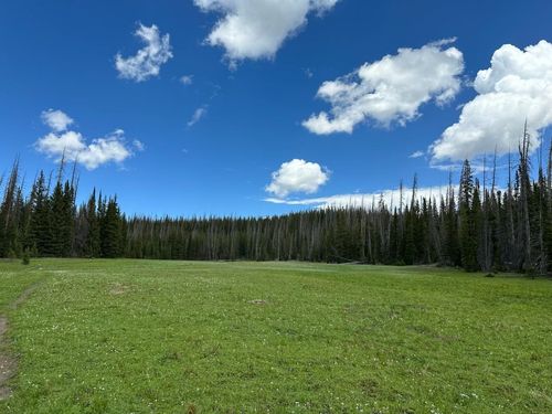 Leviathan Lode Claim, Sur #146, Ryan Park, WY, 82331 | Card Image