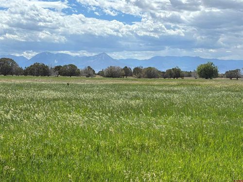 TBD Redlands Mesa Rd, Hotchkiss, CO, 81419 | Card Image