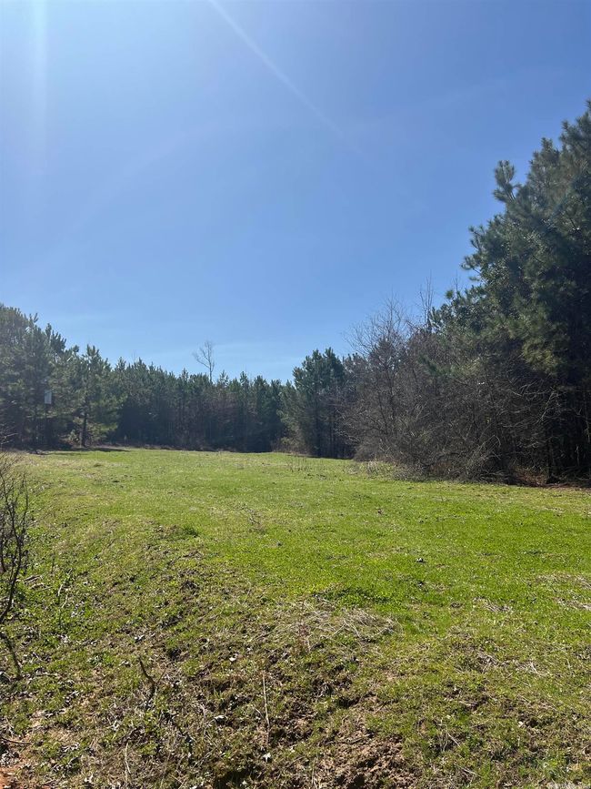 00 Nevada County 175 Road, Home with 0 bedrooms, 0 bathrooms and null parking in Rosston AR | Image 19