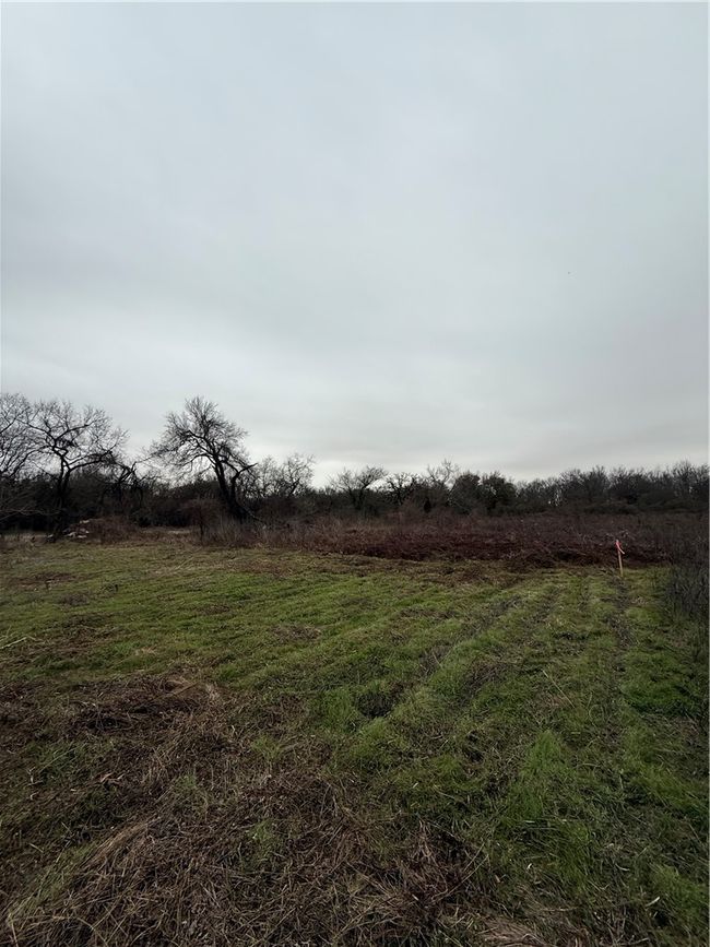 View of yard featuring a rural view | Image 16
