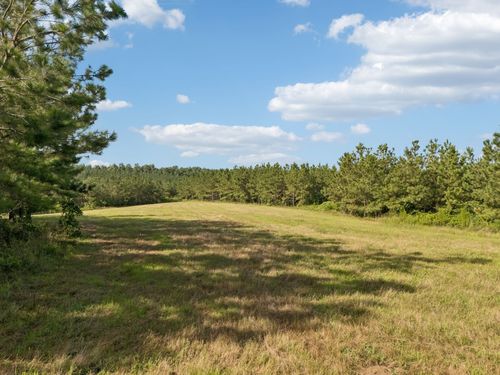 0 Old Richmond Rd, Nunnelly, TN, 37137 | Card Image