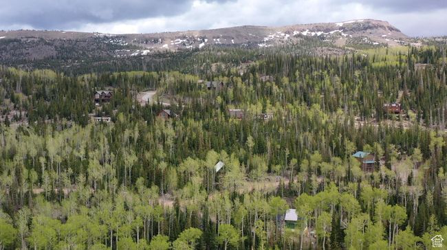 Aerial view of property and surrounding area with a forest and a mountain backdrop | Image 58