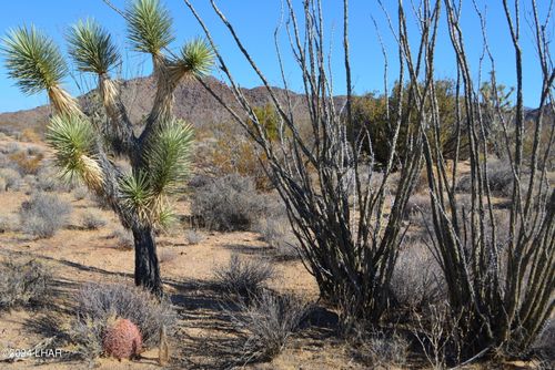 434 Cactus Wren Dr, Yucca, AZ, 86438 | Card Image