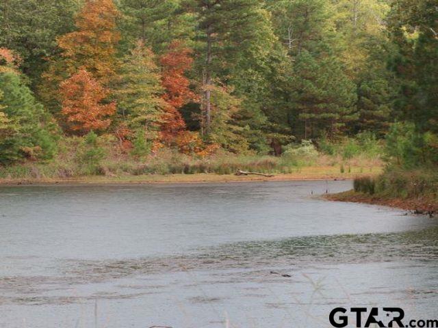 Land in Montalba 5