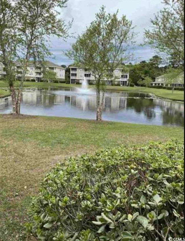 314 Kiskadee Loop, Townhouse with 2 bedrooms, 3 bathrooms and null parking in Conway SC | Image 22