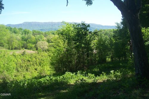 Tract 1 Chapman Highway Highway, Seymour, TN, 37865 | Card Image
