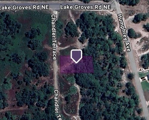 104 Chandler Ter Ne, Lake Placid, FL, 33852 | Card Image