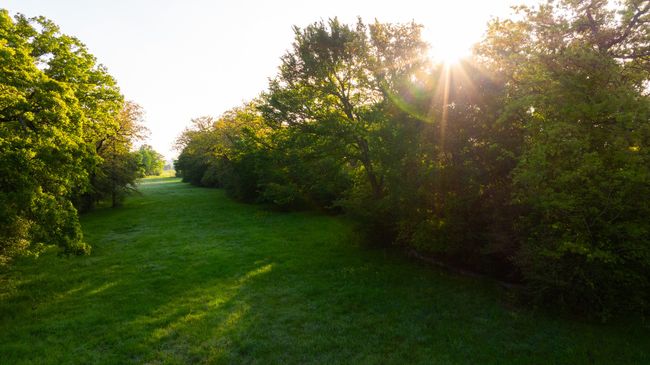 View of yard | Image 35