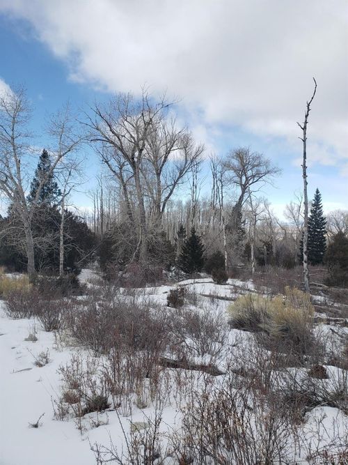 239 Mill Run, Hooper, CO, 81136 | Card Image