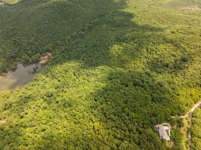 DJI_20250710122834_0148_D | Image 24