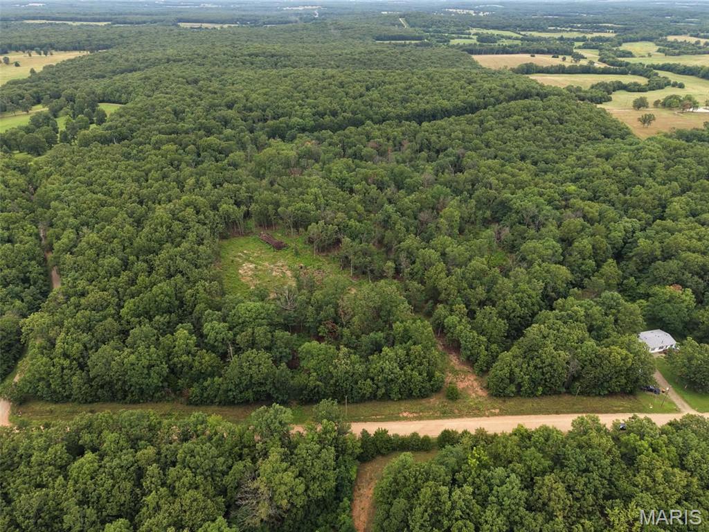 Land in Stoutland 4