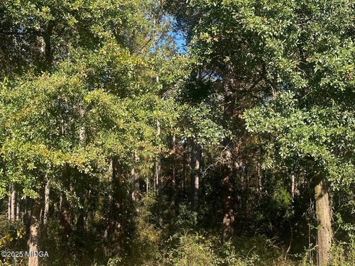 0 District Rd, Jeffersonville, GA, 31044 | Card Image