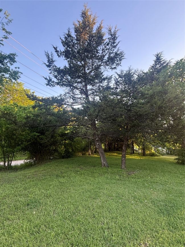 0 E Williams St, Home with 0 bedrooms, 0 bathrooms and null parking in Saint Jo TX | Image 15