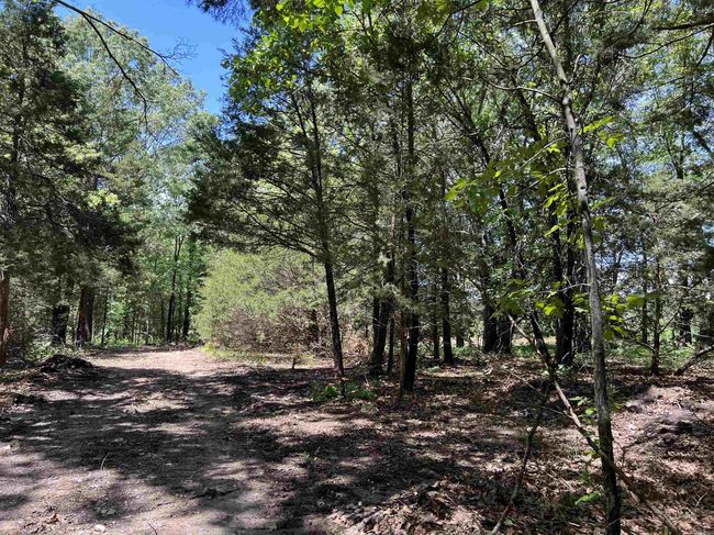 1 Eclipse Rd, Home with 0 bedrooms, 0 bathrooms and null parking in Saint Joe AR | Image 18
