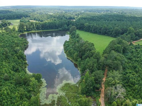 1-0 County Road 51, Greensboro, AL, 36744 | Card Image