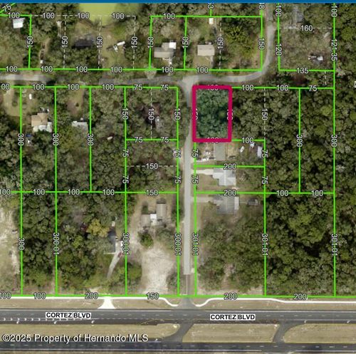 175 Madison Ave, Dade City, FL, 33523 | Card Image