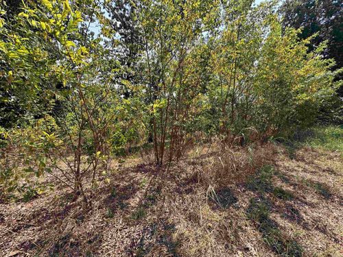 1302 &amp; 1304 View Park Cir, Horseshoe Bend, AR, 72512 | Card Image