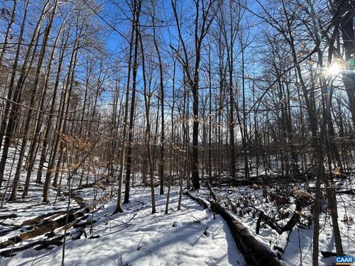 0 Stone Chimneys Rd, NELLYSFORD, VA, 22958 | Card Image