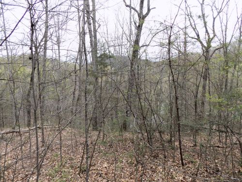 1 Mountain Shadow Way, Cosby, TN, 37722 | Card Image