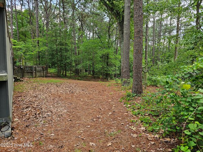 181 Joel Rd, Home with 0 bedrooms, 0 bathrooms and null parking in Carthage NC | Image 25