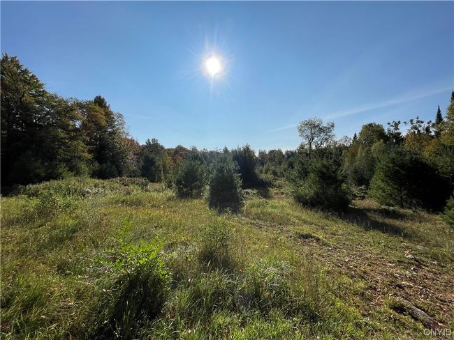 4184 Factory Rd, Home with 1 bedrooms, 0 bathrooms and null parking in Natural Bridge NY | Image 20