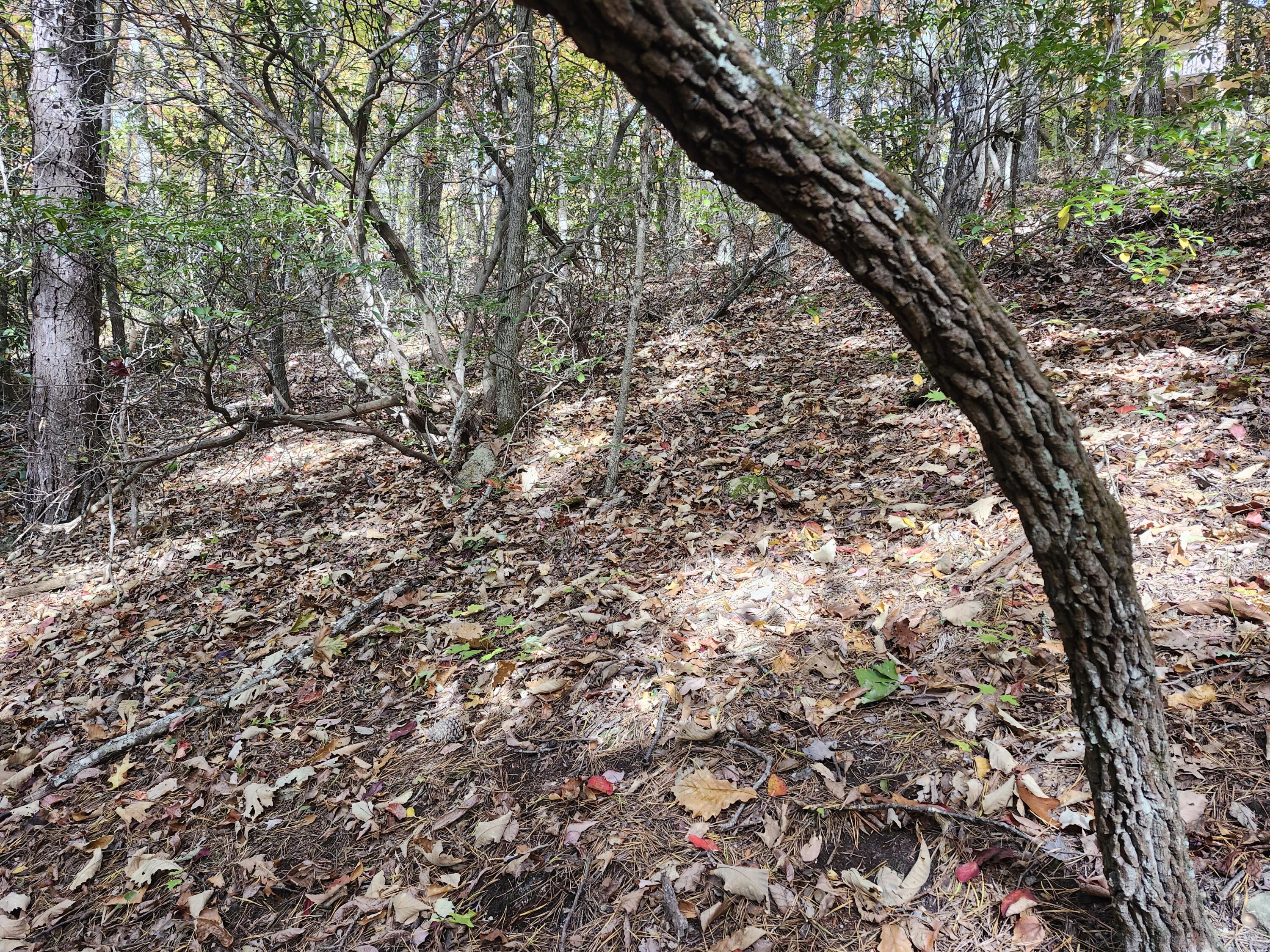 Land in Sevierville 5