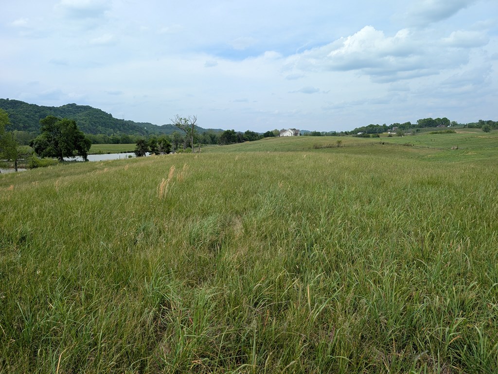 Land in Burkesville 2