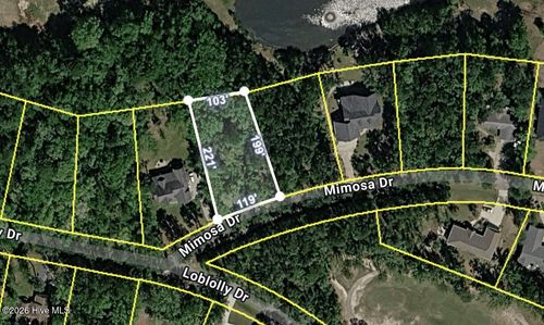707 Mimosa Dr, Vass, NC, 28394-9649 | Card Image