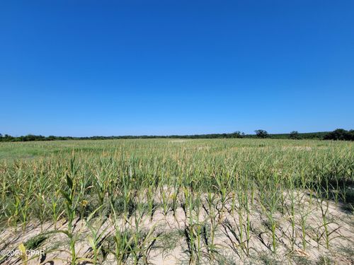 4 Bradley Rd, Westville, FL, 32464 | Card Image