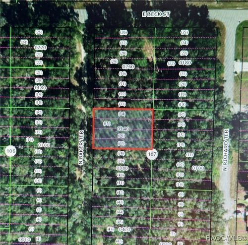 35 N Baker Ter, Inverness, FL, 34453-9793 | Card Image