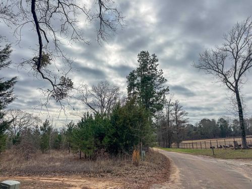 TBD County Road 2619, Marietta, TX, 75566 | Card Image