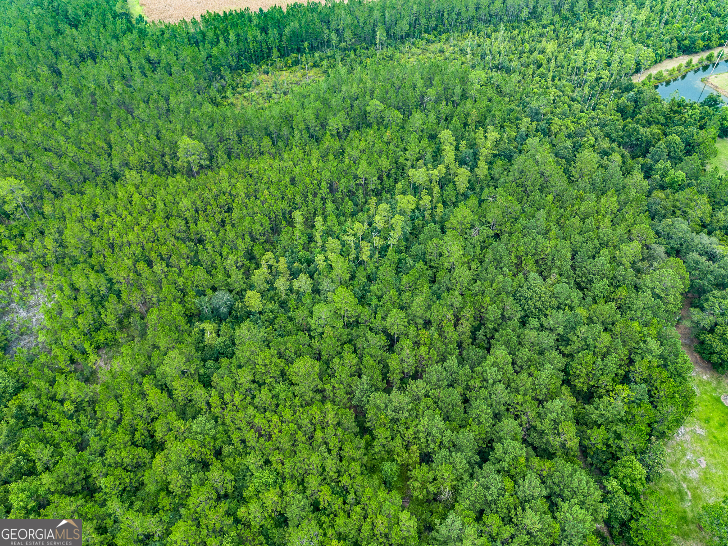 Land in Waycross 2