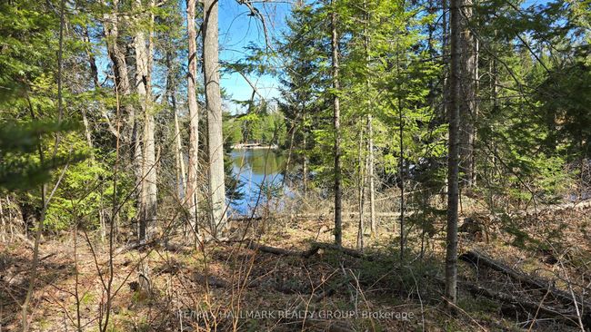 0000 Calabogie Rd, Home with 0 bedrooms, 0 bathrooms and null parking in Burnstown ON | Image 8