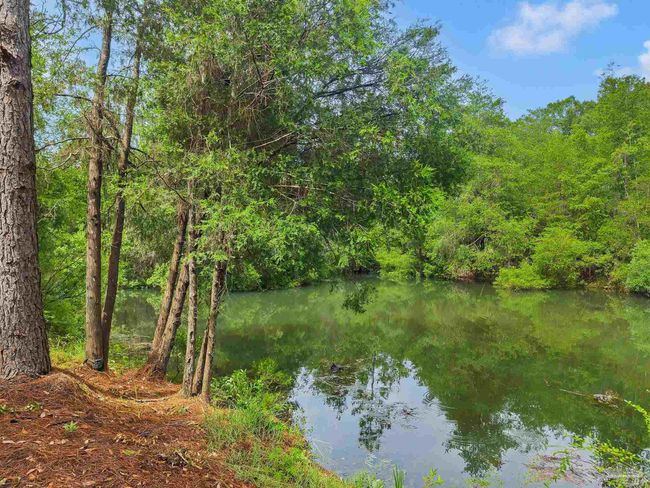 6640 Frank Reeder Rd, House other with 3 bedrooms, 2 bathrooms and 1 parking in Pensacola FL | Image 28