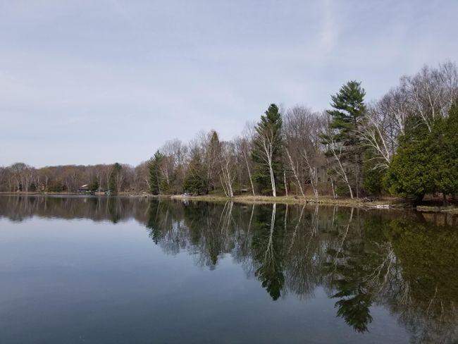 15 W 12 Mile Rd, Home with 0 bedrooms, 0 bathrooms and null parking in Irons MI | Image 15