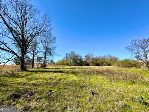 0 Stripling Rd, Dexter, GA, 31019 | Card Image