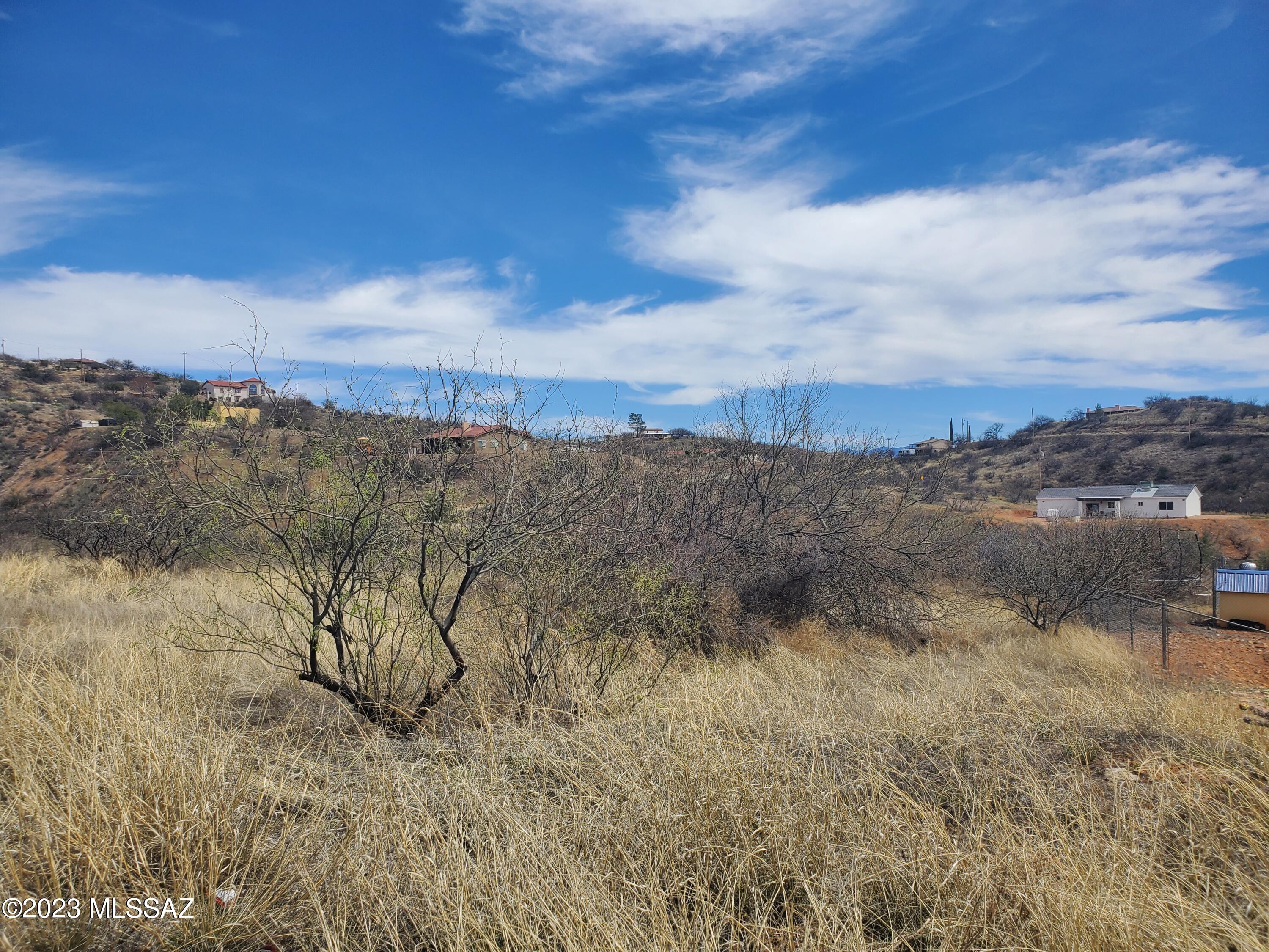 Land in Rio Rico