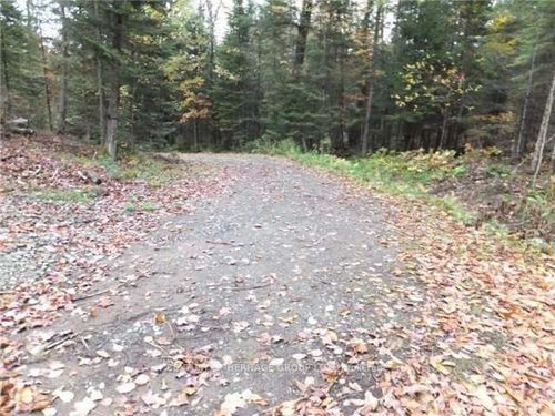 1646 Kennisis Lake Road, Dysart et al, ON, K0L1S0 | Card Image