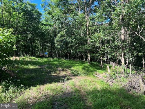 Lot 1 Maverick Trail, HEDGESVILLE, WV, 25427 | Card Image