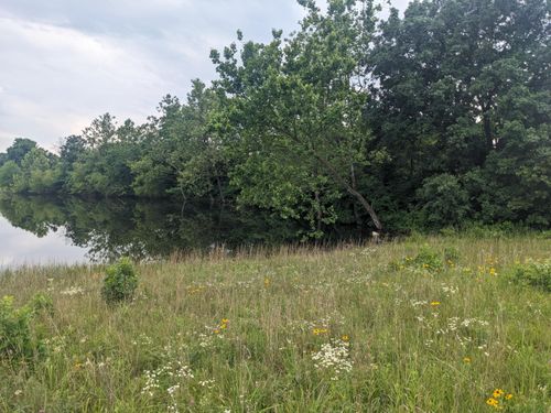 000 Bison Rd, Crocker, MO, 65452 | Card Image